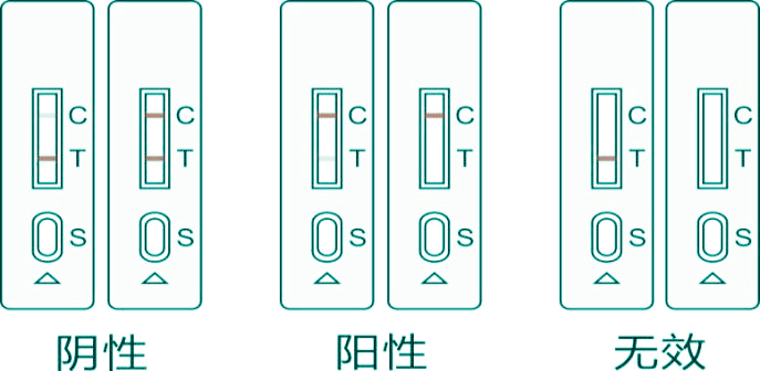 腐霉利胶体金检测卡结果判读