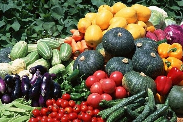 无公害农产品、绿色食品、有机食品