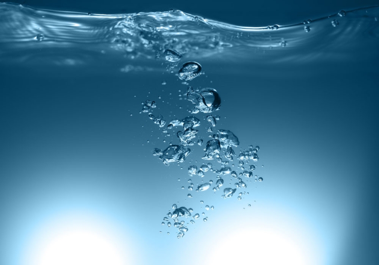 水分含量是影响物质的物理