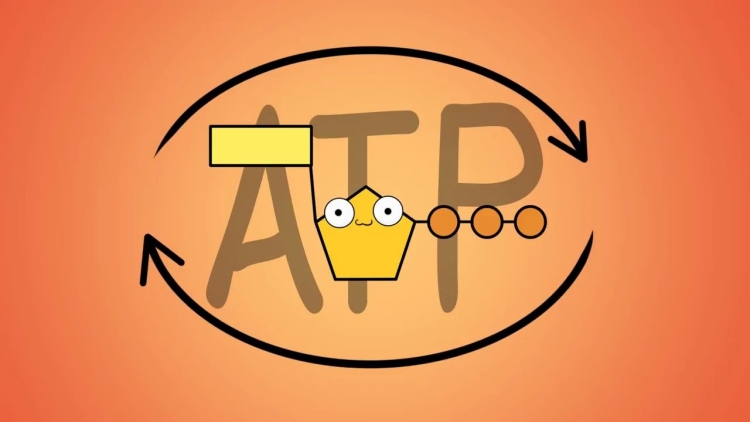 ATP快速荧光检测仪是一种高效、准确、易操作的设备