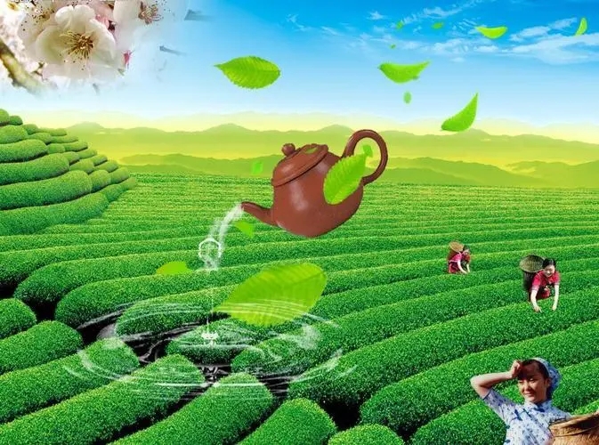广泛应用于茶叶生产和加工过程中