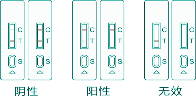 猪源性成分快速检测试剂盒结果判读