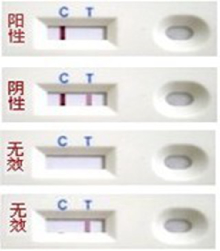 金标检测卡